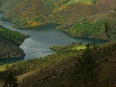 presa y embalse de salime navia (12)